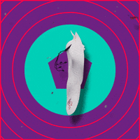 World Cup Mascot GIF by Road to 2022