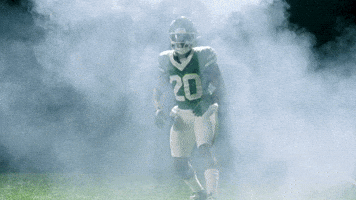 Football Nfl GIF by New York Jets