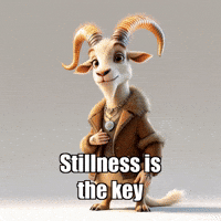 GIF by Radiantelope