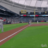 Home Run Celebration GIF by Cincinnati Reds