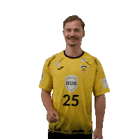 Handball Coburg Sticker by DAIKIN HBL