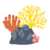 Water Coral Sticker by DisMoiDesMotu