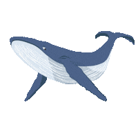 Water Whale Sticker by DisMoiDesMotu