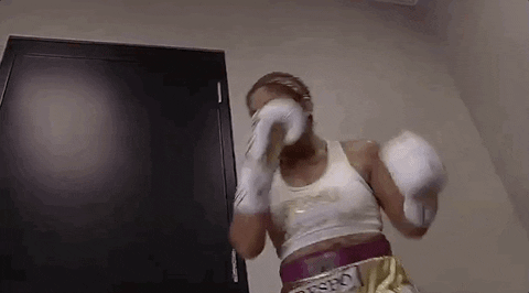 toprank giphyupload fight boxing fighting GIF