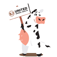 unitedanh cow livestock uah united animal health Sticker