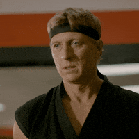 Cobra Kai GIF by NETFLIX