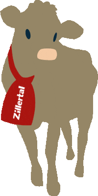Ski Essen Sticker by zillertal