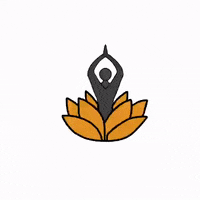 yourbodhi  GIF