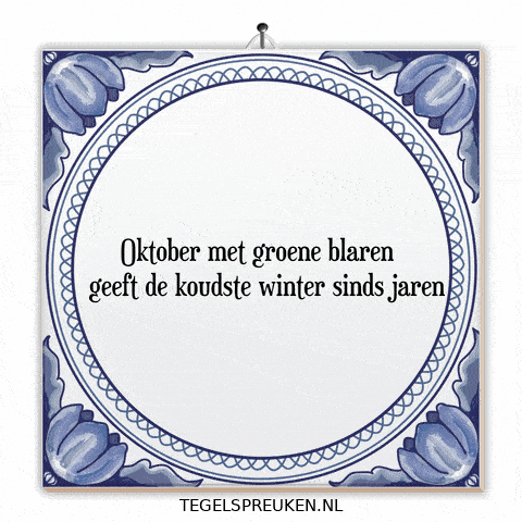 Nl Wijsheid GIF by Tegelspreuken.nl