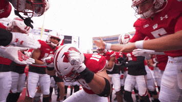 Big Ten Football GIF by Wisconsin Badgers