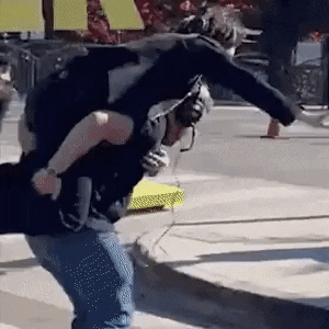 amirm348e6408bca442178701d7f9bf4a4967 giphyupload GIF