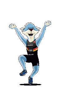 Dance Running Sticker by Triathlon