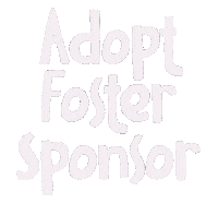 Donate Adopt Sticker by Amina