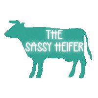 Thesassyheiferboutique fashion style shopping neon Sticker