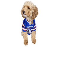 Dog Puppy Sticker by Luminescence Aesthetics - Buffalo, NY