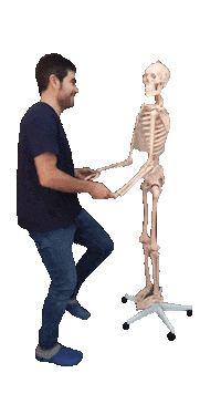 Skeleton Fisioterapia Sticker by fisiojreig
