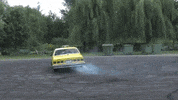 v8fanatics hungary burnout magyarorszag levelek GIF