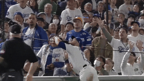Los Angeles Dodgers Sport GIF by MLB