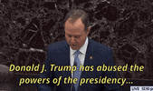 news impeachment adam schiff senate trial GIF