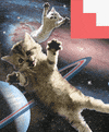 space cat GIF