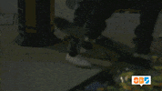 sorry hands up GIF by @SummerBreak