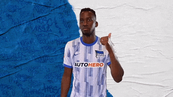 Bundesliga Berlin GIF by Hertha BSC