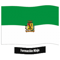 Las Palmas Bandera Sticker by Formación Ninja