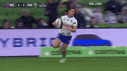 Rugby League Nrl GIF by Canberra Raiders