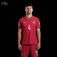 Cristiano Ronaldo Portugal GIF by Respective