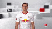 Red Bulls Football GIF by Bundesliga