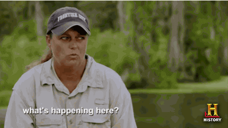 confused the history channel GIF by Swamp People