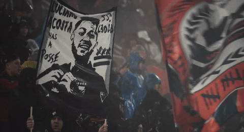 dcunited giphyupload soccer futbol mls GIF