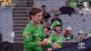cricketcomau celebration cricket wicket melbourne stars GIF