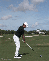 TaylorMadeGolfMx  GIF