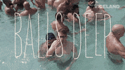 thomas morton gay bear GIF by BALLS DEEP with Thomas Morton