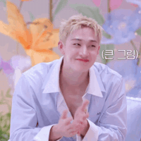 Stray Kids Chan GIF