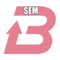 Sticker by Autoescola Brinhosa