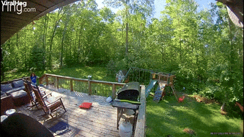 Angus the Angry Duck