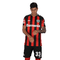 Werkself No Sticker by Bayer 04 Leverkusen
