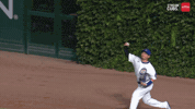 Chicago Cubs Baseball GIF