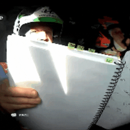 Sports Car GIF by FIA World Rally Championship