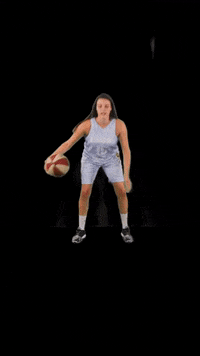 acslsports basketball ball trip ready GIF