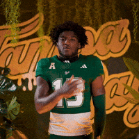 College Football GIF by USF Athletics