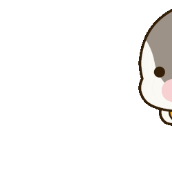 Katercat giphyupload cat run slow Sticker