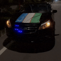 Malibu GIF