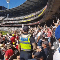 English Cricket Fans Wave Shoes in Defiance of Security During Test Match