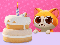 Happy Birthday Cat GIF by Bloom City Match