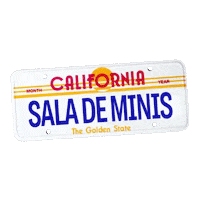 salademinis delorean salademinis felipenovoa Sticker
