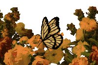 Hip Hop Rap Sticker by Sharif