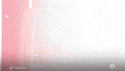 Jonas Brothers Nbc GIF by The Voice